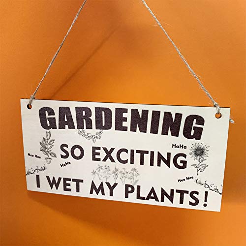 Gardening Gifts Sign for Men Women Funny Garden Ornaments Outdoor Gardeners Novelty Present Xmas Garden Plaque Unusual Plant Gift Naughty For Grandad Birthday Gift under 5 Pounds