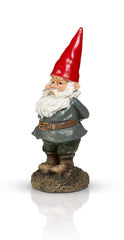 THE Garden Gnome