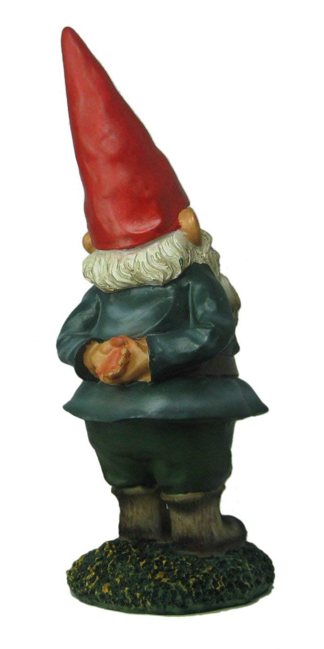 THE Garden Gnome
