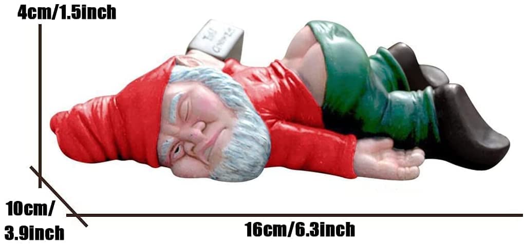 Naughty Gnomes Garden Decorations, Funny Garden Gnomes Statues Outdoor Reading Without Closing The Door of Toilet Dwarf Ornaments, Garden Gnomes Decor,Yard Camp Lawn Cartoons Party Decor (05#)