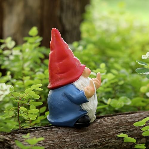 Middle Finger Gnome Mini 5.5in,Double Bird Gnome - Naughty Funny Outdoor Decoration for Yard Patio Lawn Ornament and Home Decor,Fairy Garden