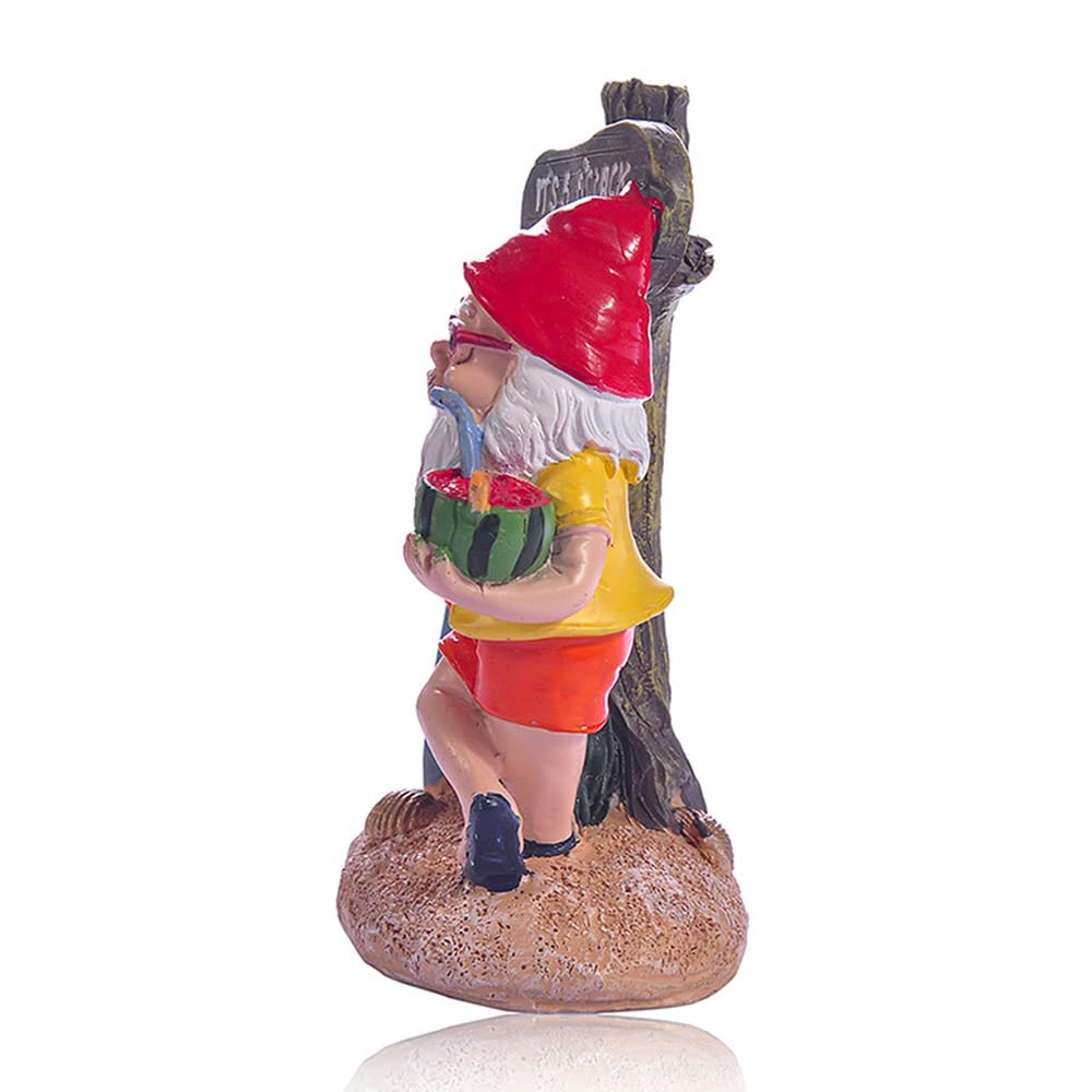 NIYEYE Garden Gnomes for Outdoor Use Funny Cool Surfing Garden GNOME Weatherproof Made of Resin Decorative Figurine