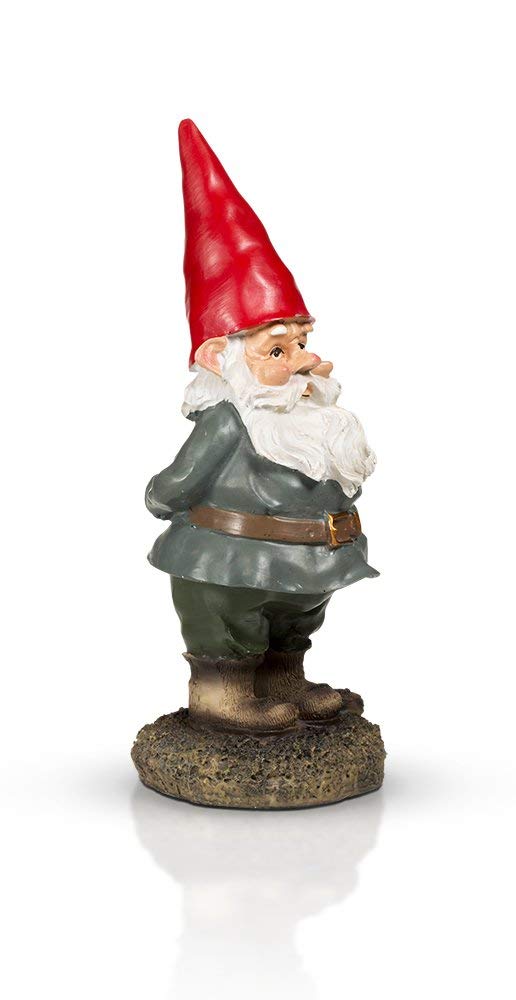 THE Garden Gnome