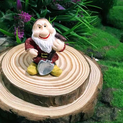 14PCS Garden Gnome Fairy Garden Gnome Statue Mini Dwarf Elf Resin Sculpture Potted Micro Landscape