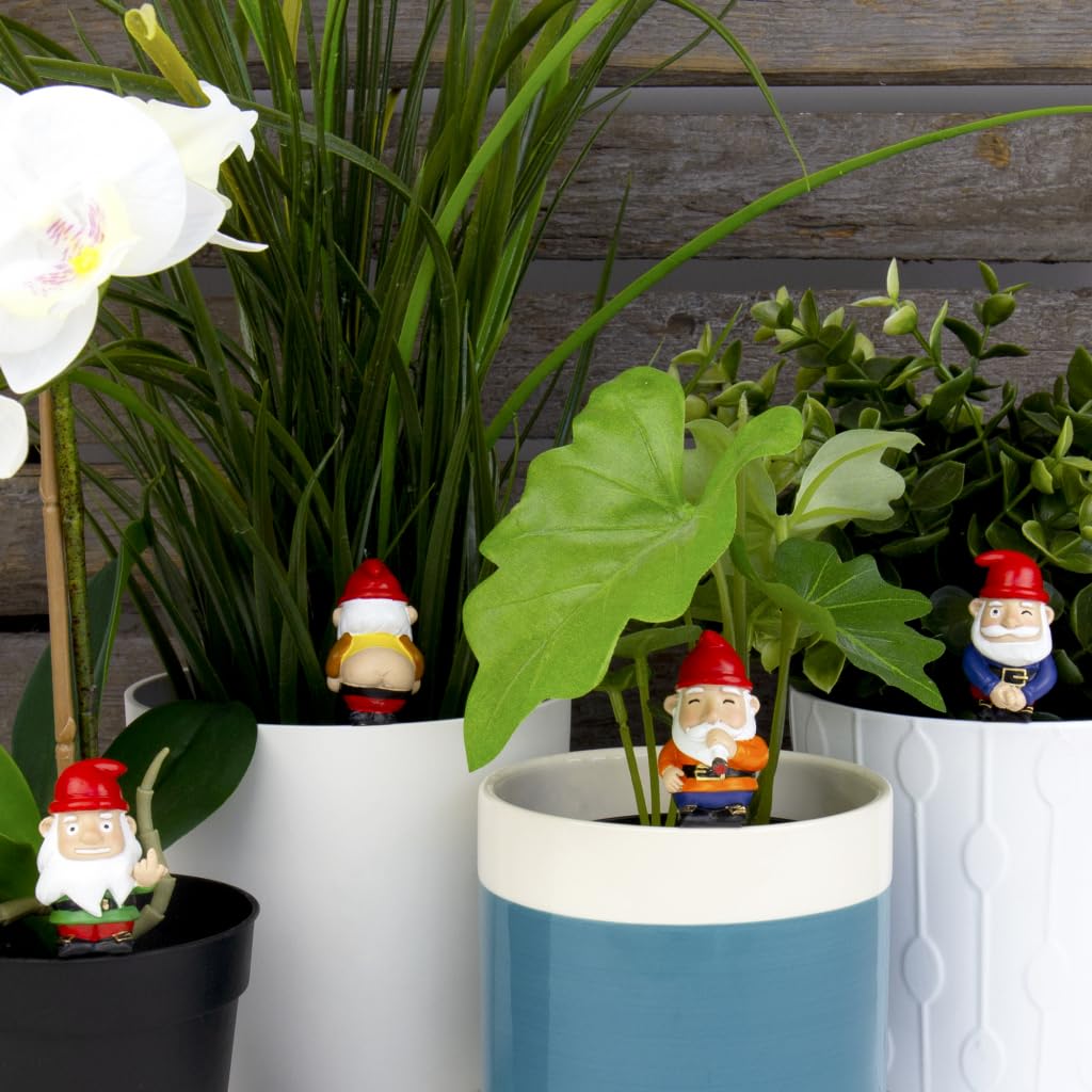 Gift Republic Naughty Gnomes Planters, Multicolor, One Size