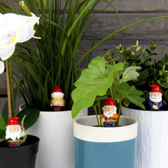 Gift Republic Naughty Gnomes Planters, Multicolor, One Size