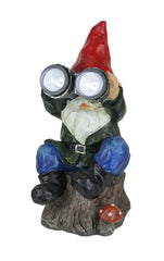 Forest Bird Watcher Garden Gnome Solar Eyes Solar LED Accent Light Sculpture