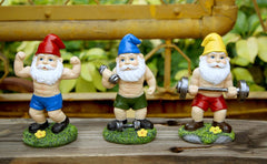 Mrsivrop Funny Workout Garden Gnomes Statues 3pcs 6.2 Inches Outdoor Funny The Muscular, Barbell and Dumbbell Gnomes Decorations Set for Yard, Lawn, Patio, Indoor Gnome Figurine for Home Tabletop