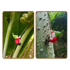 AMISENK Decorative Climbing Gnomes Ornament Hanging Elves Figurine For Garden Home Decors Unique Fantasy Enthusiasts