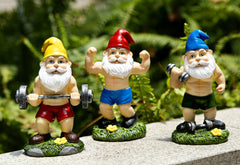 Funny Workout Garden Gnomes Statues, 3pcs 15.5cm Outdoor Funny The Muscular, Barbell and Dumbbell Gnomes Decorations Set for Yard, Lawn, Patio (Workout Gnomes Set)
