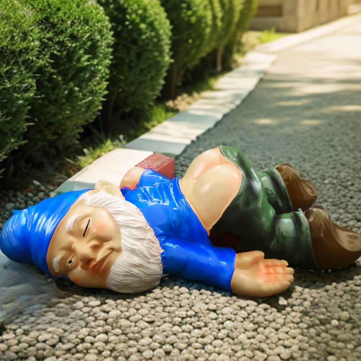 RizzRosa 9.5'' Funny Garden Gnome Outdoor Decor - Large Naughty Gnomes Statues, Resin Gnomes Sculptures for Yard Patio Home Lawn Outside Decorations Ornament Housewarming Gifts, Blue