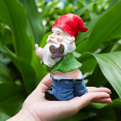 Naughty Middle Finger Gnome, 5.5 inch Tall Funny Resin Garden Gnomes, Mini Pants Down Naked Gnomes for Outdoor Lawn House Decor Statues
